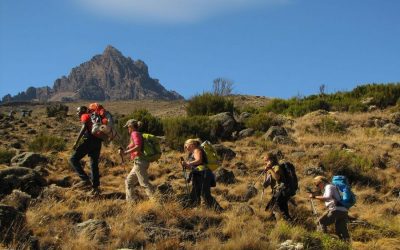 Kilimanjaro Climbing for Lemosho Route 8 Day