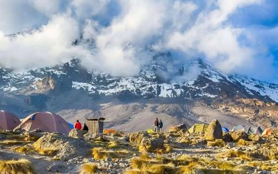 Kilimanjaro Trekking for Machame Route 7 Day