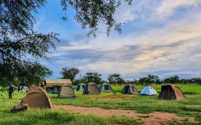 Tanzania Camping safari for 6 Day