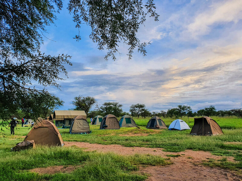 Tanzania Camping safari for 6 Day