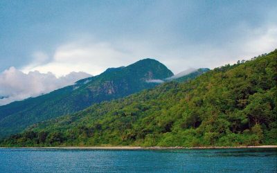 Mahale Mountains National Park Safari for 4 Day
