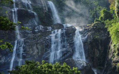 Mikumi and Udzungwa for 3 Days